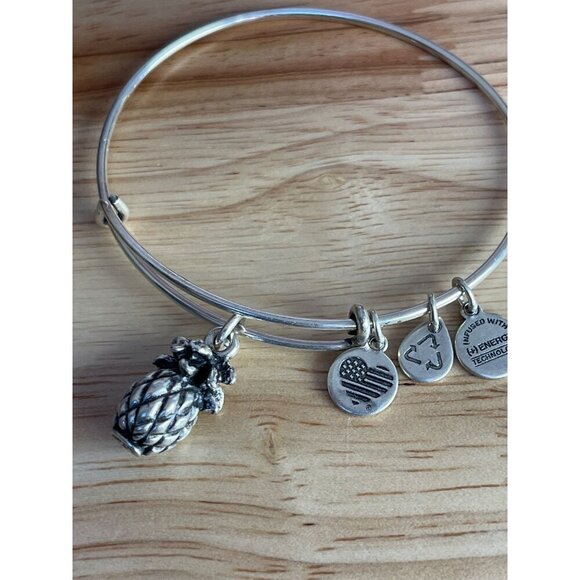 Alex And Ani Silver Pineapple Expandable Bangle Bracelet With Energy Technology - Picture 3 of 6